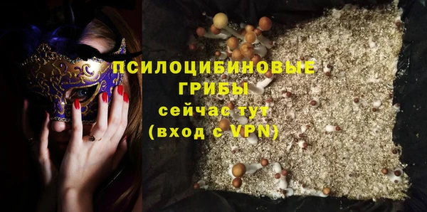 бутират Инсар