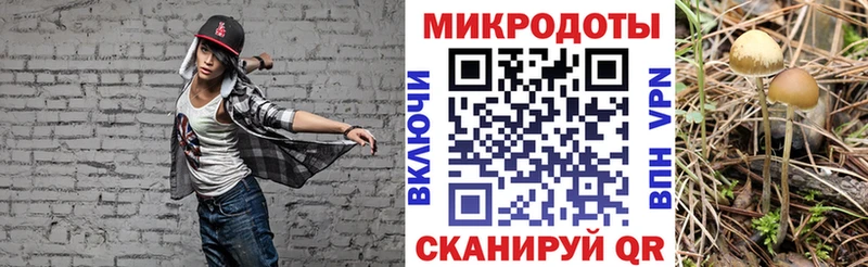 Галлюциногенные грибы Magic Shrooms купить Сухиничи