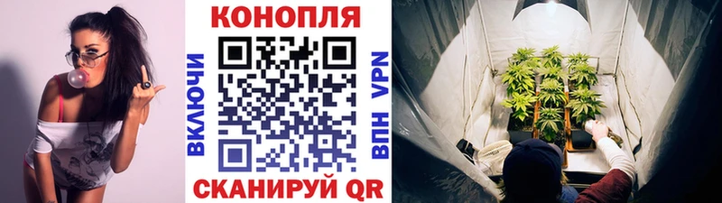 где купить Сухиничи МАРИХУАНА планчик